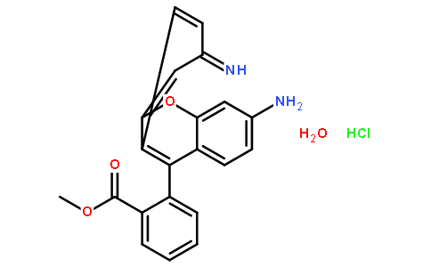 62669-70-9/罗丹明123