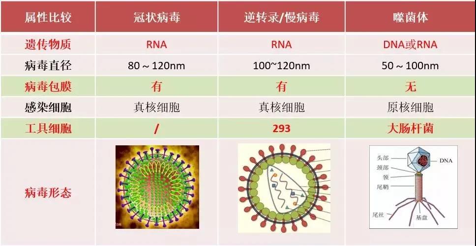 产品发布|疫情当下，比“口罩”更全球缺货的是什么？