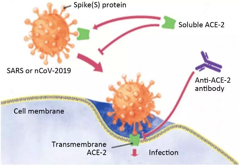 产品发布|疫情当下，比“口罩”更全球缺货的是什么？