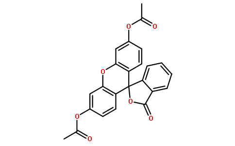 596-09-8/二乙酸萤光素
