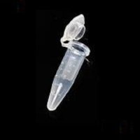 1.7ml微量离心管无,无DNA酶/RNA酶无热源