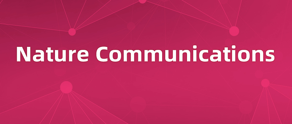 苏州大学郑慧团队揭示线性泛素化调控IFN抗病毒信号的新机制