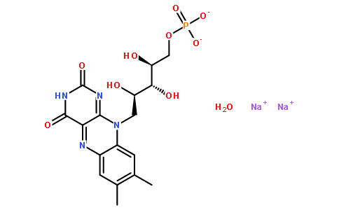6184-17-4/5-核黄素磷酸钠盐二水物