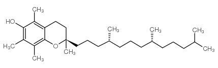 10191-41-0/维生素E油