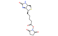 35013-72-0/N-羟基琥珀酰亚胺生物素