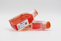 北纳创联小鼠杂交瘤细胞系