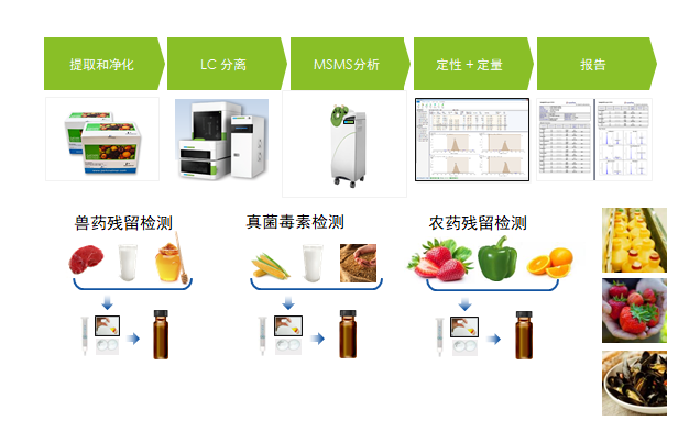 从分子检测到细胞成像，守护婴幼儿配方乳粉的安全