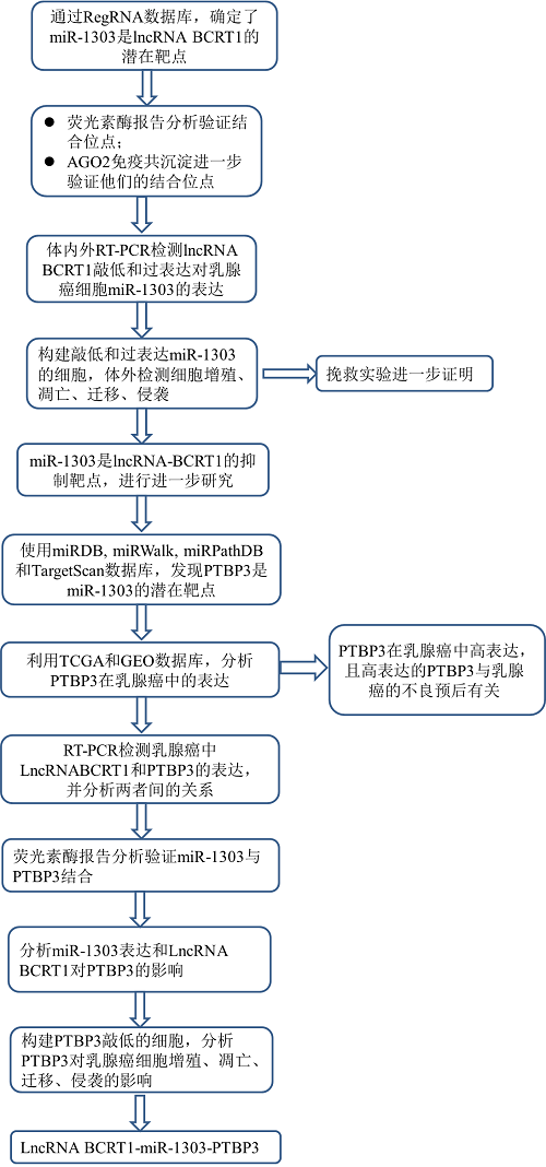 LncRNA BCRT1通过靶向miR-1303/PTBP3来促进乳腺癌的进展