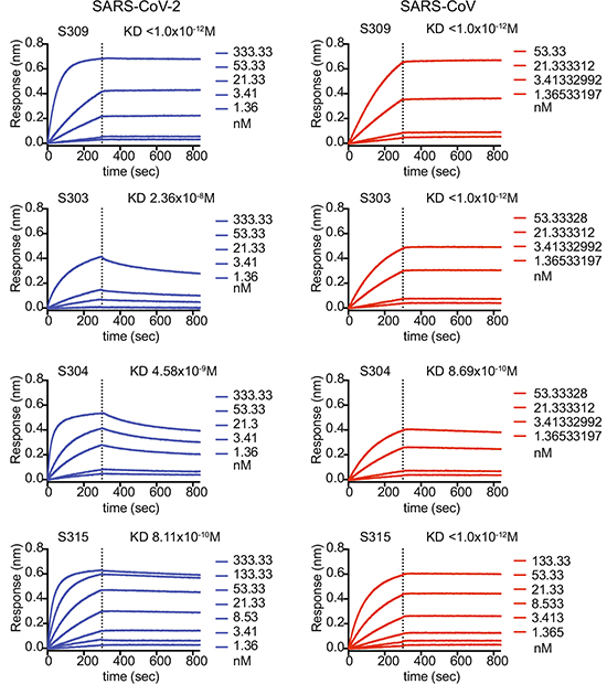 请看CNS是怎样使用义翘神州新冠蛋白的？