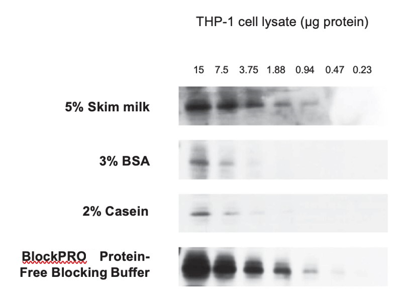 无蛋白封闭液——救你的WesternBlot实验于水深火热之中
