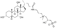 82473-24-3/3-[(3-胆固醇氨丙基)二甲基氨基]-2-羟基-1-丙磺酸