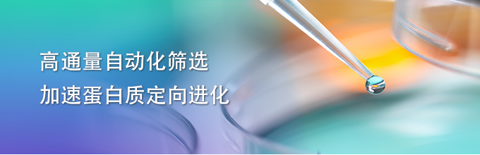 高通量自动化筛选加速蛋白质定向进化