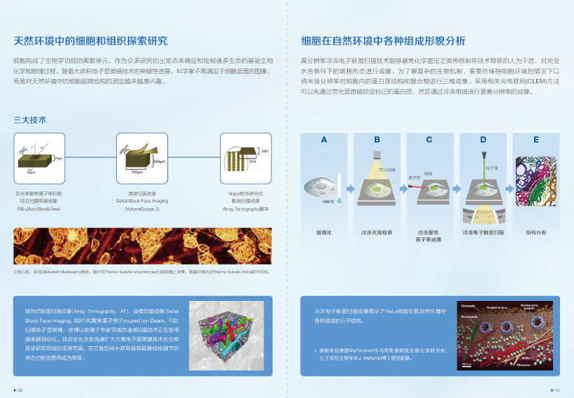 多学科覆盖，赛默飞科研平台方案全新上线