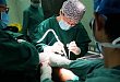 桂林医学院附属医院攻克重达 12 斤、大如篮球的罕见乳房巨大肿瘤