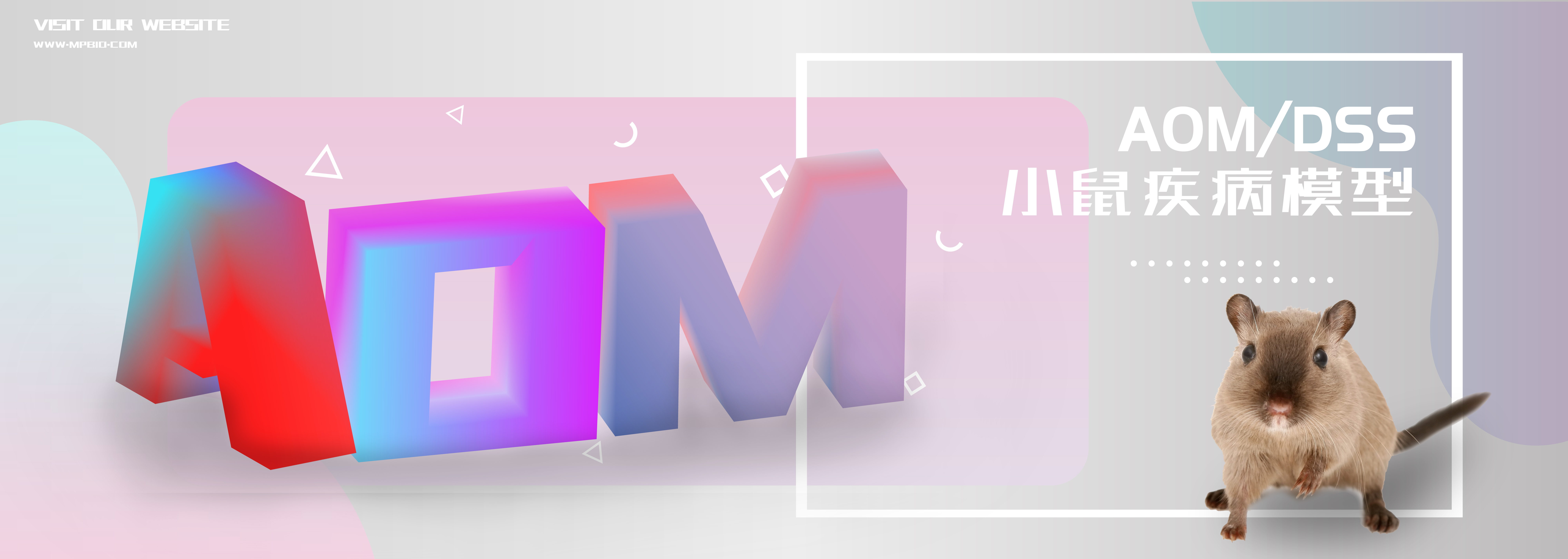 解读 AOM/DSS 小鼠疾病模型在 CRC 研究中的应用
