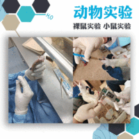 动物实验外包/动物实验造模/小鼠实验/裸鼠实验