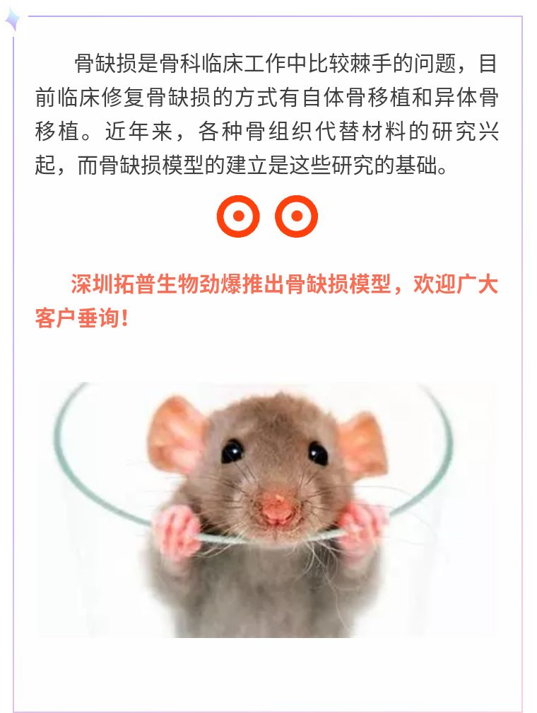 【拓普课堂】骨缺损模型