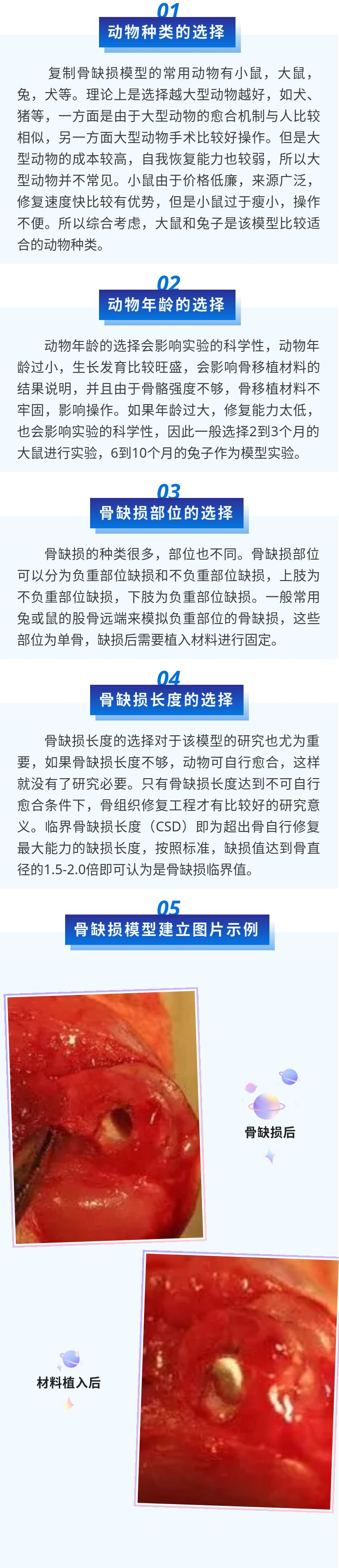 新闻图片2