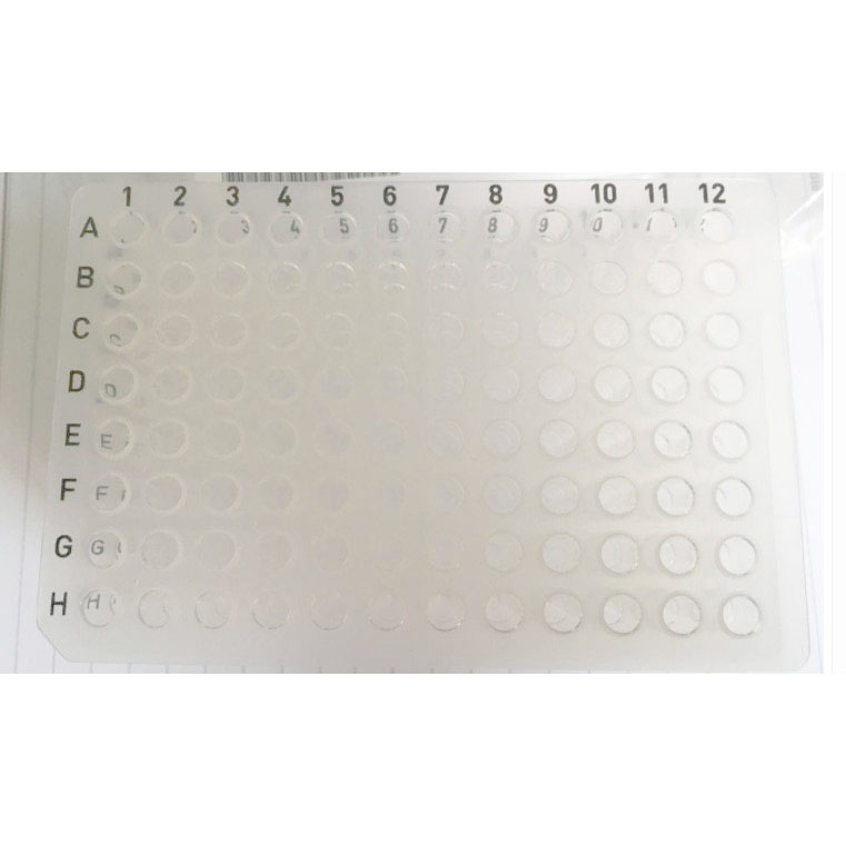 爱思进Axygen PCR-96-FLT-C 0.2ml透明无裙边96孔PCR板