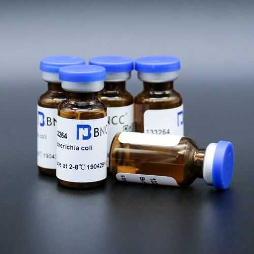 北纳创联牛巴贝斯虫