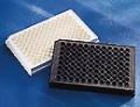 96孔黑色培养板