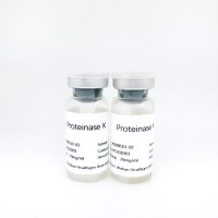 重组蛋白酶K ProteinaseK