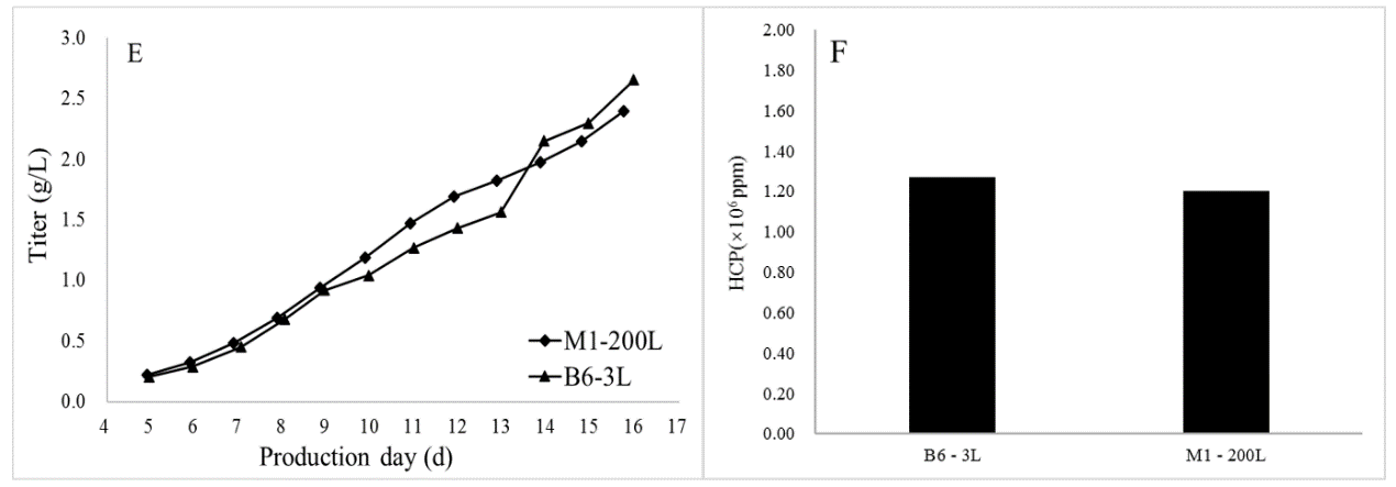 补料优化降低抗体生产过程中宿主细胞蛋白残留的研究
