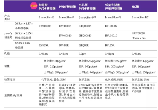 Western Blot，你要的都在这里