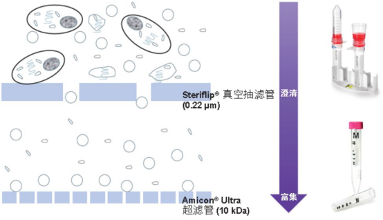 默克生命科学高分推荐便宜好用的生物功能性外泌体制备方案，赶紧收藏！