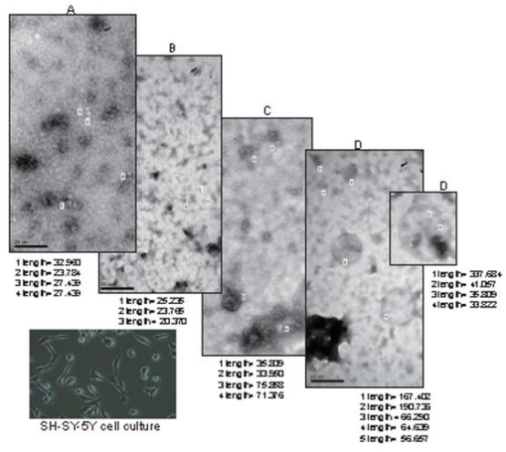 默克生命科学高分推荐便宜好用的生物功能性外泌体制备方案，赶紧收藏！