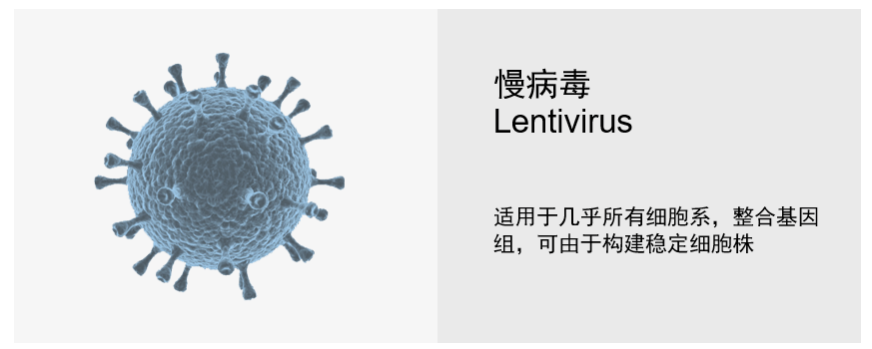 慢病毒疑难解答part1