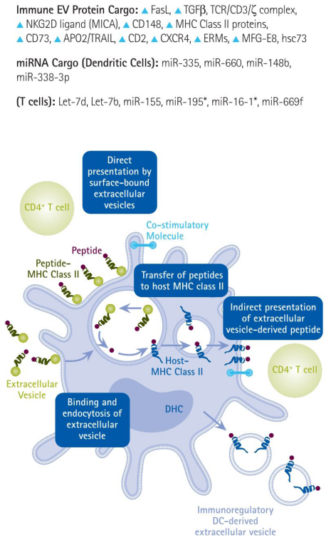默克生命科学高分推荐便宜好用的生物功能性外泌体制备方案，赶紧收藏！