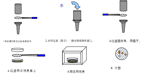  Milli-QR 讲堂 |  如何降低水中微生物含量？Q 博士告诉你