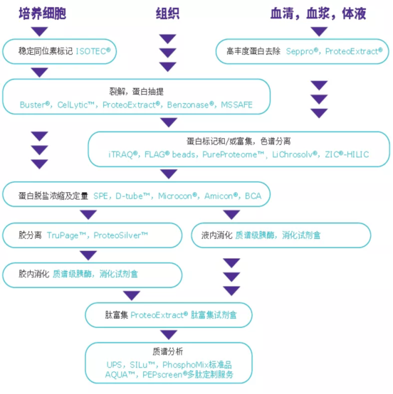 成与败？默克蛋白质谱样品制备超全指南来帮你