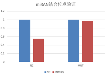 产品细节图片5