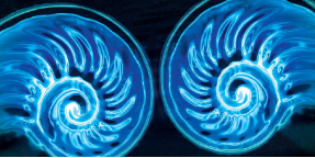 默克手性药物色谱分析专题