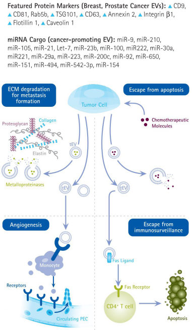默克生命科学高分推荐便宜好用的生物功能性外泌体制备方案，赶紧收藏！
