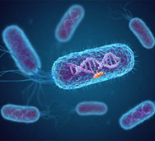  Milli-QR 讲堂 |  如何降低水中微生物含量？Q 博士告诉你