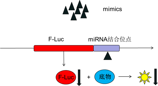 产品细节图片3