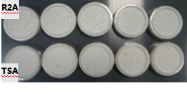  Milli-QR 讲堂 |  如何降低水中微生物含量？Q 博士告诉你