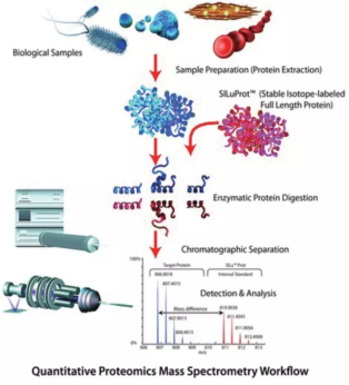 成与败？默克蛋白质谱样品制备超全指南来帮你