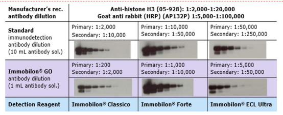 Immobilon® GO 将侧流分析应用到 Western Blot 免疫检测，提高了检测的可重复性，也更节省人力和时间。