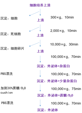 默克生命科学高分推荐便宜好用的生物功能性外泌体制备方案，赶紧收藏！