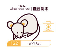 维通利华 WKY大鼠 SPF级 SHR高血压对照模型