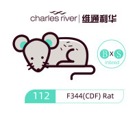 维通利华 F344(CDF)大鼠 SPF级