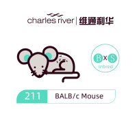维通利华 BALB/c小鼠 SPF级 balbc