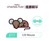 维通利华 129小鼠 SPF级