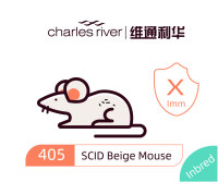 维通利华 SCID Beige 免疫缺陷小鼠 SPF级 免疫缺陷