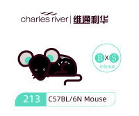 维通利华 C57BL/6N小鼠 SPF级
