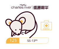 维通利华 SS-13BN大鼠 SPF级 盐敏感大鼠对照